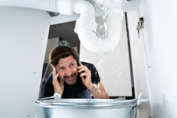 Best Drain Cleaning Services  in Berwyn Heights, MD